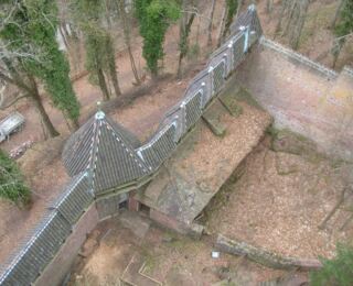 090322-strassburg 14