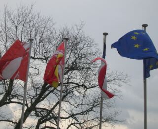 090322-strassburg 22