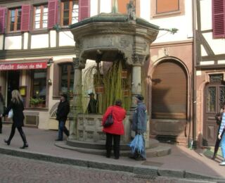 090322-strassburg 28