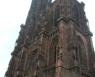090322-strassburg 32