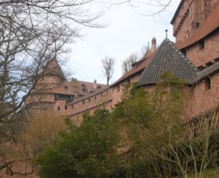 090322-strassburg 4