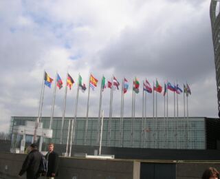 090322-strassburg 47