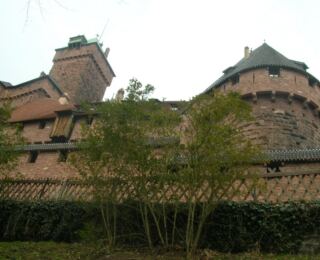 090322-strassburg 5