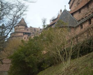 090322-strassburg 57