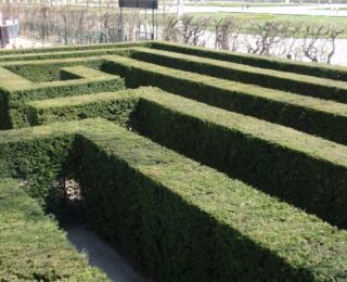 090408-becs 14