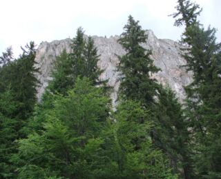 170613-erdely 27
