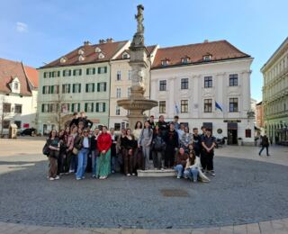 9visegrad